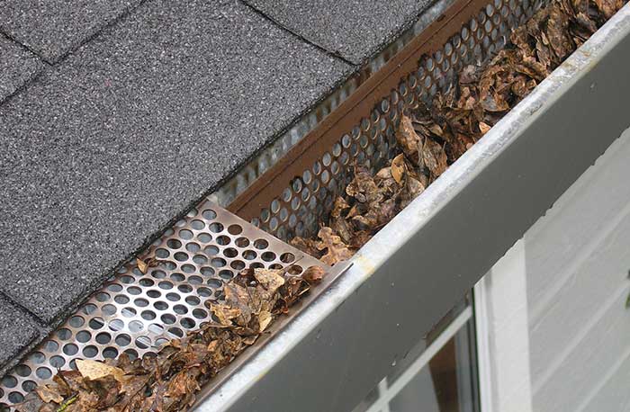 gutter maintenance